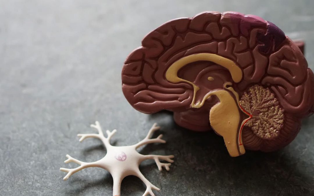 Neuromarketing e web: neuroscienze e marketing digitale
