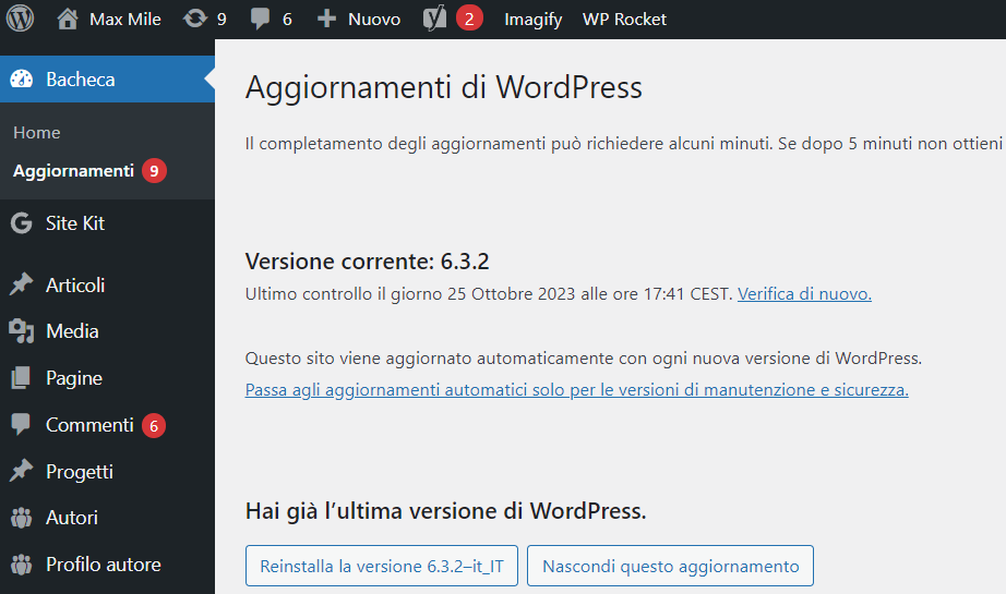 pagina degli aggiornamenti di un sito realizzato con WordPress